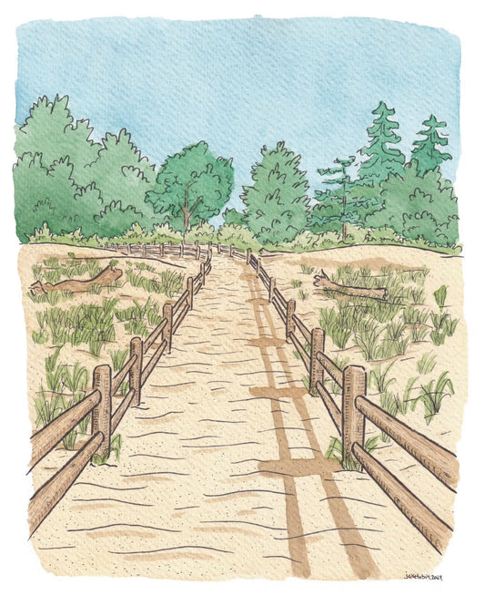 Hanlan’s Beach Going 2024 (Original + Limited Prints)